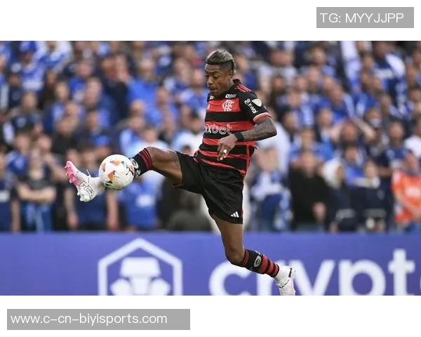 阿瓦依与弗拉门戈的巅峰对决谁能在这场较量中笑到最后